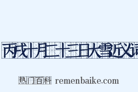 丙戌十月二十三日大雪近义词是什么意思的图片